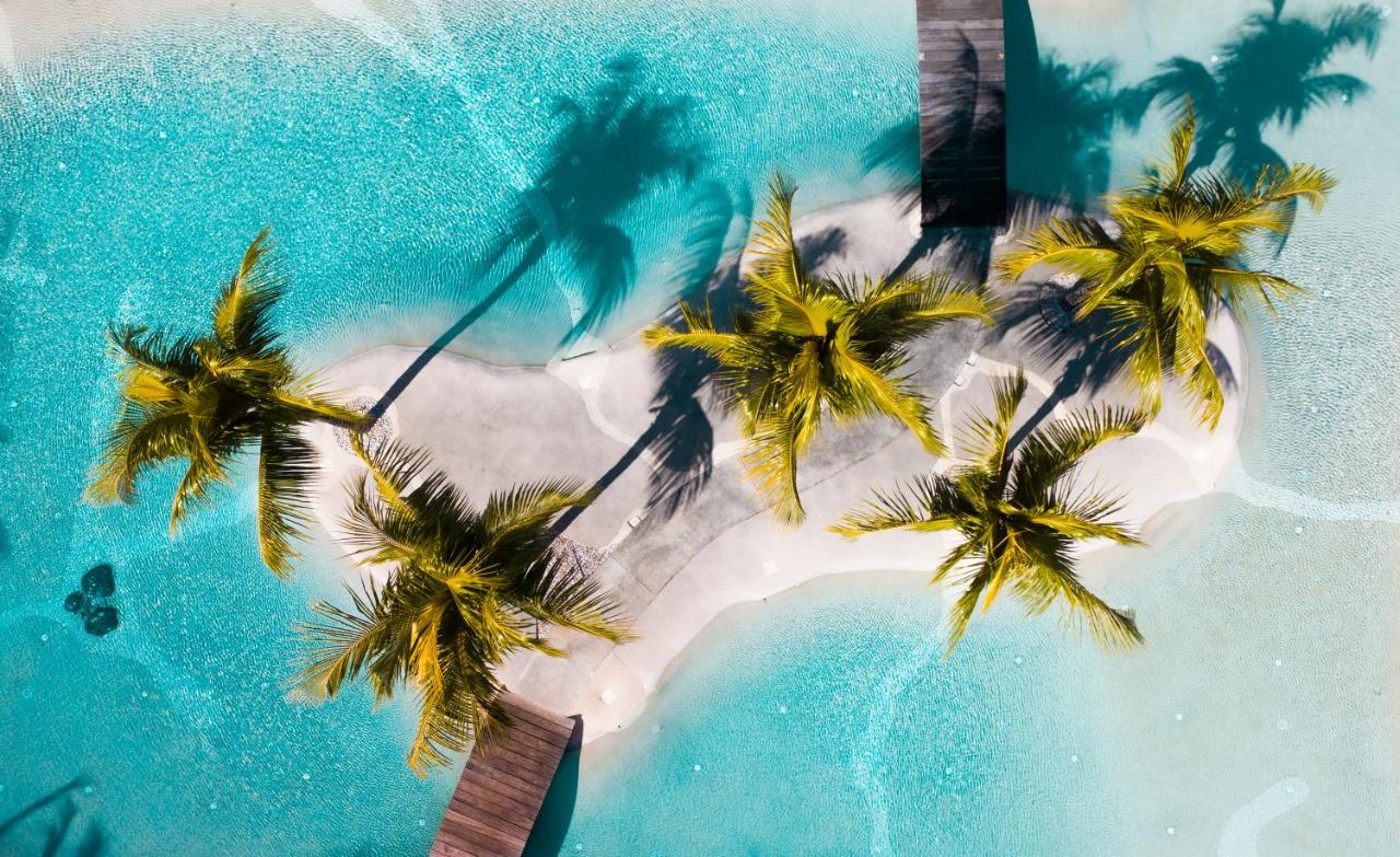 Top view of beach water with trees in the center